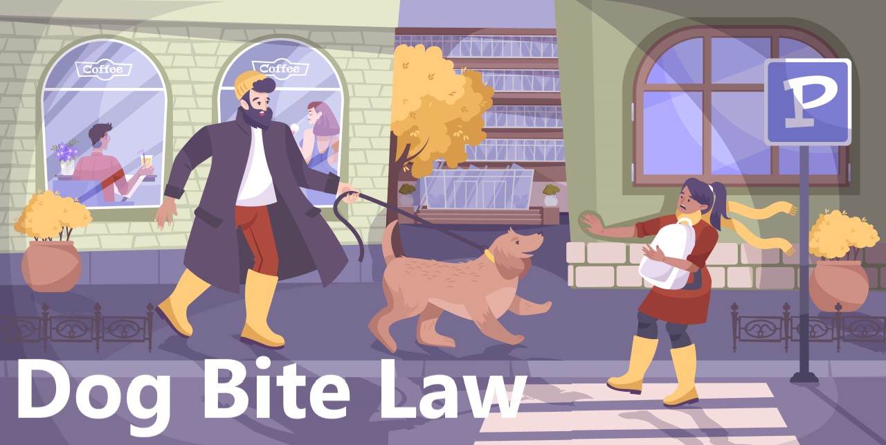 Dog Bite Law